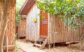 Bayrams Tree Houses