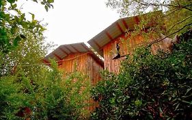 Bayrams Tree Houses